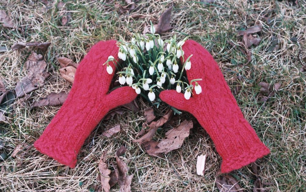 fem:POWER Nachmittagscafé // For all we Care // 30. November von 14 bis 18 Uhr